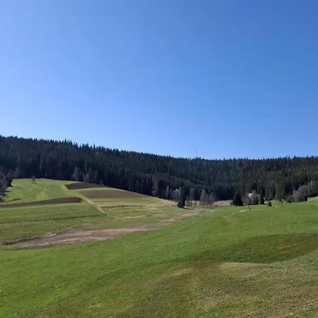 Дом отдыха Ferienhaus, Sankt Georgen Триберг